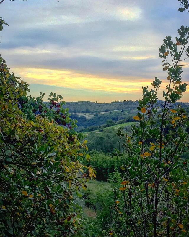 CAPAStudyAbroad_Florence_Summer2017_From Sarah Pressler 10.jpg