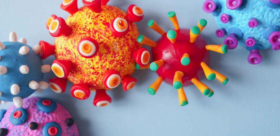 image of the corona virus